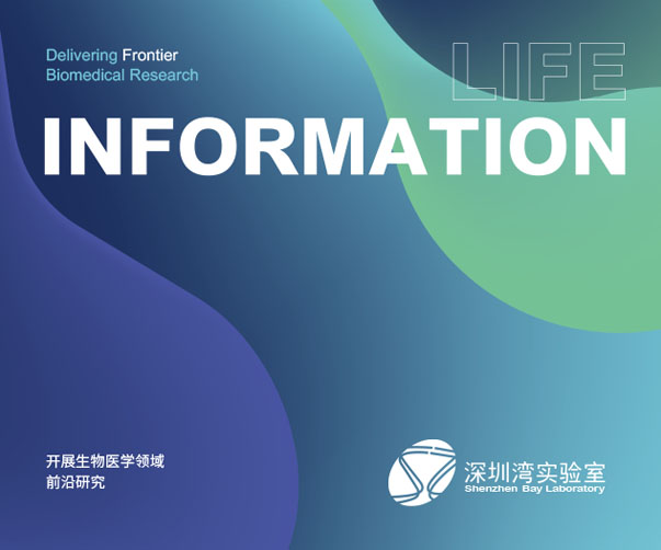 上海網站設計公司解析網站對品牌營銷至關重要