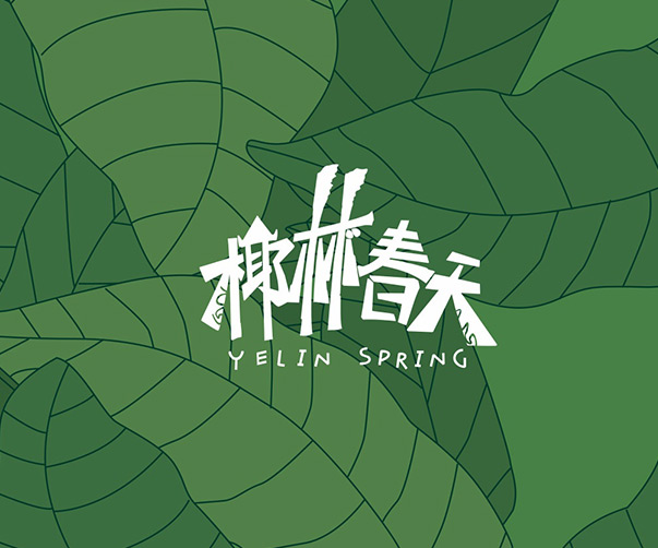 上海品牌設計公司如何設計一份具有吸引力的品牌VIS設計手冊